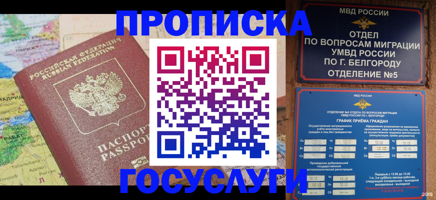 прописка регистрация в Курчатове